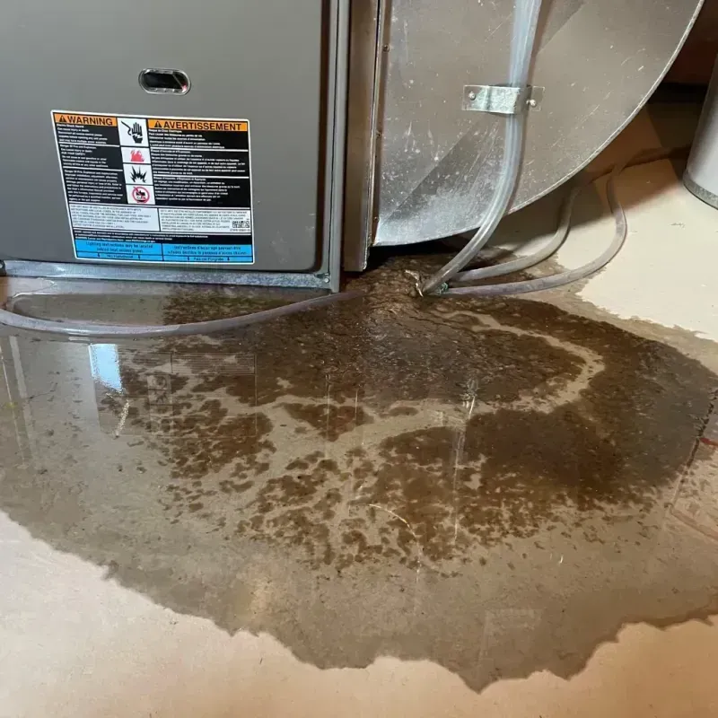 Appliance Leak Cleanup in Lutherville-Timonium, MD